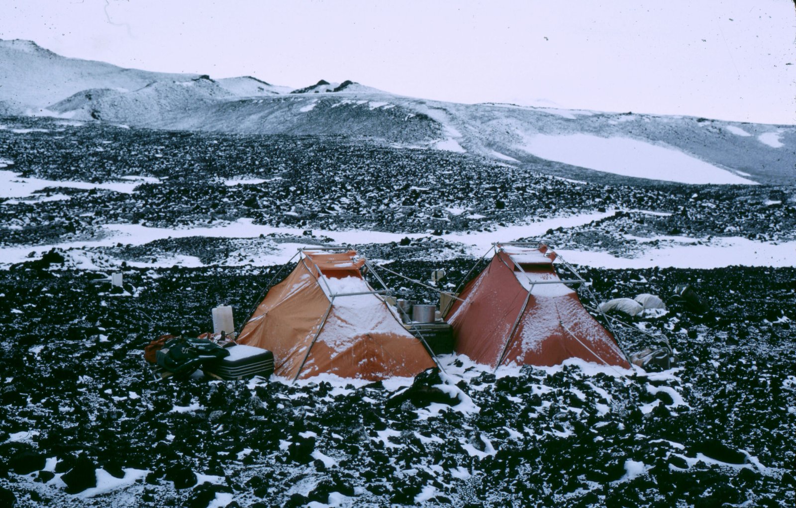 Scientists vs. The Giggles: The Human Side of Antarctic Research (image credits: wikimedia)