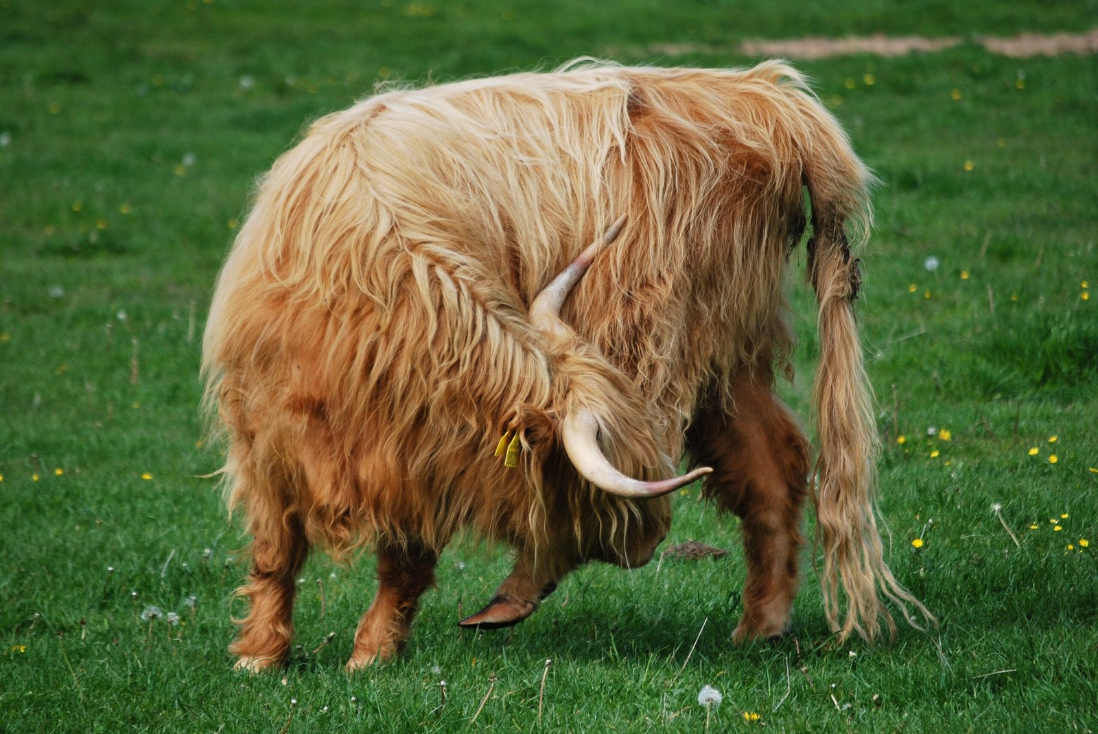 Attitude That Matches the Landscape (image credits: wikimedia)