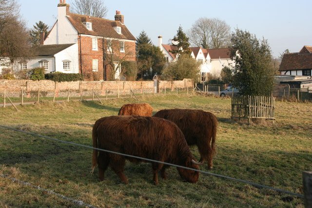 The Role in Modern Farming (image credits: wikimedia)
