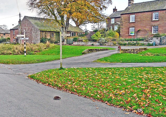 The Plight of the Hedgehog: A Race Against Extinction