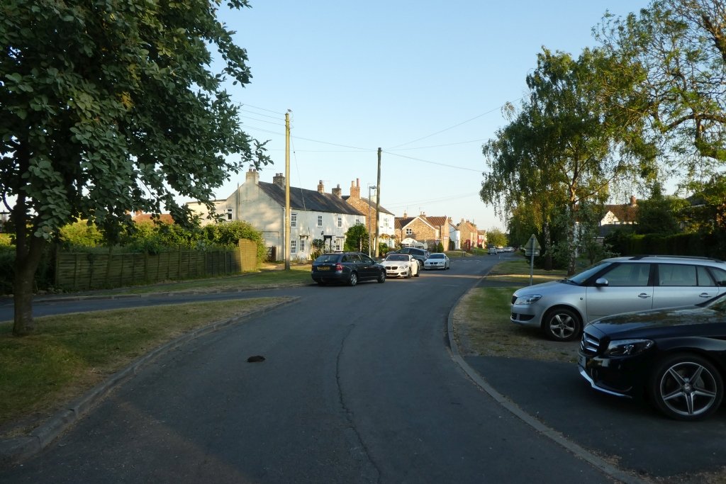 Engineering the Perfect Hedgehog Tunnel (image credits: wikimedia)