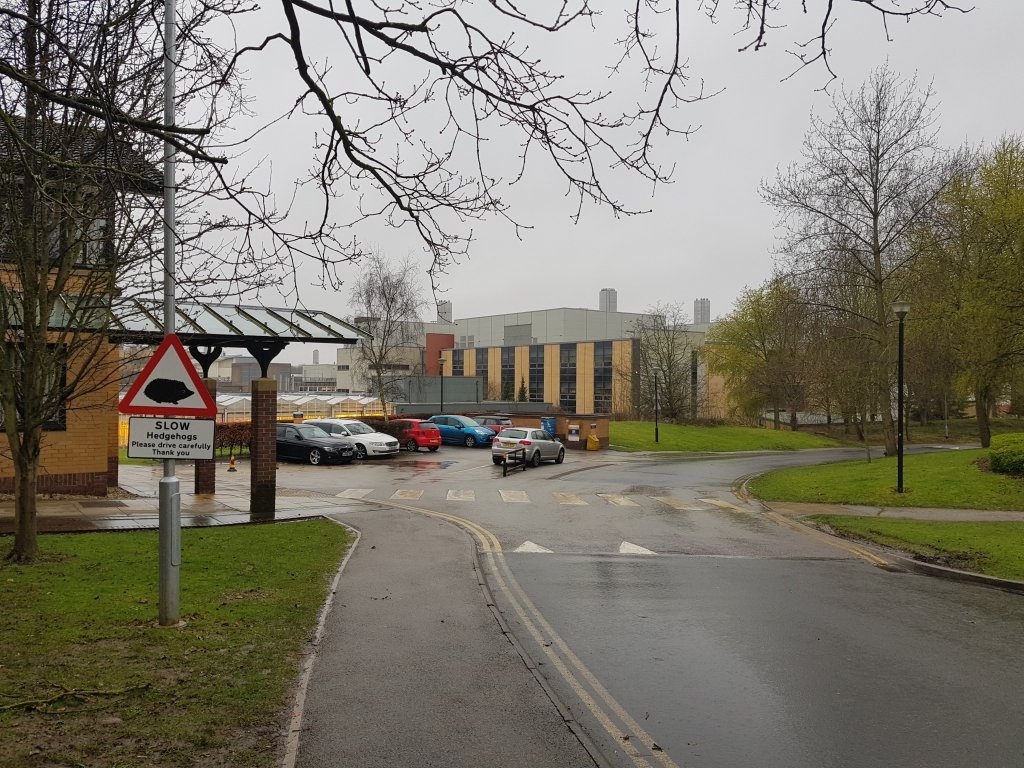 A Spark for Education and Awareness (image credits: wikimedia)