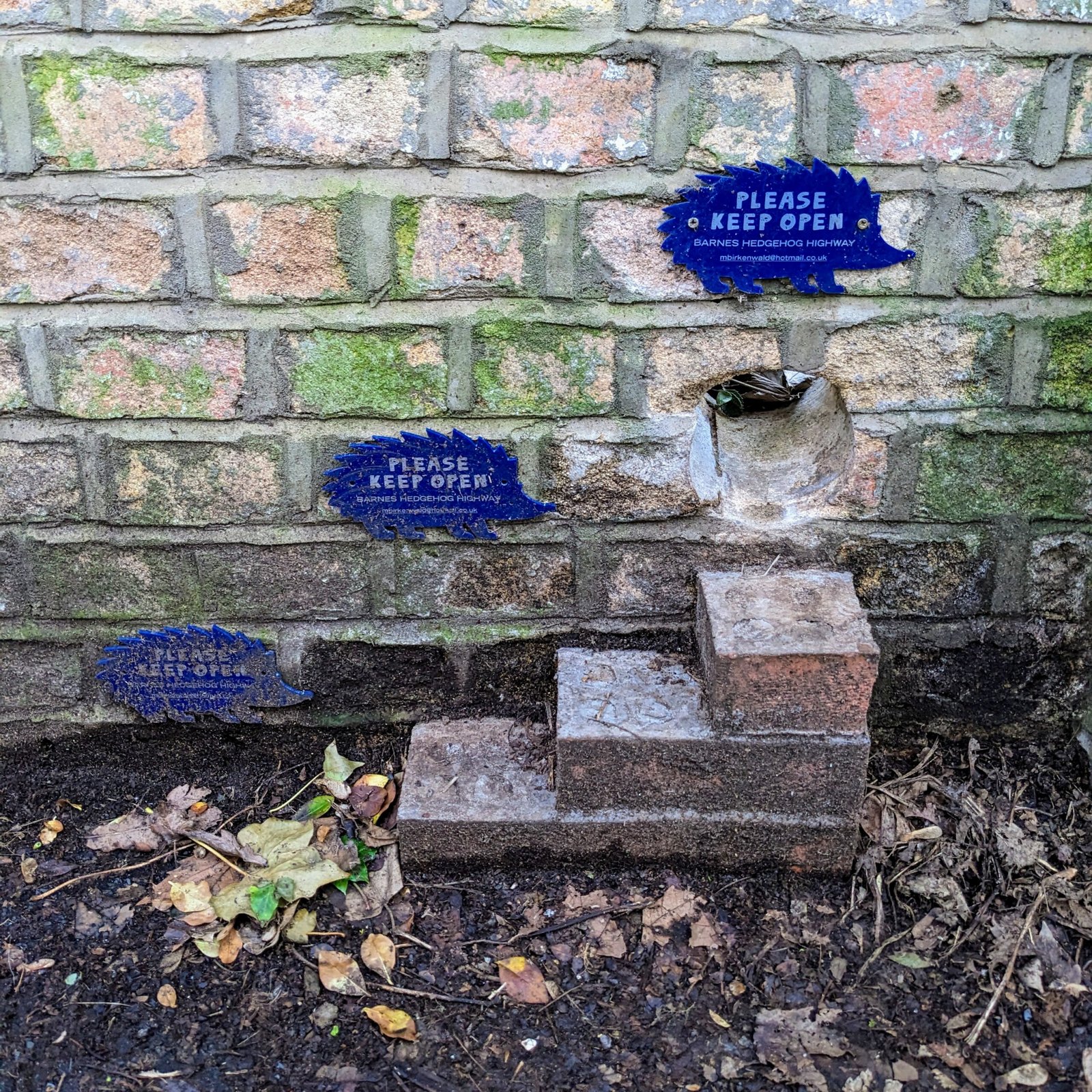 The Emotional Connection: Why It Matters (image credits: wikimedia)