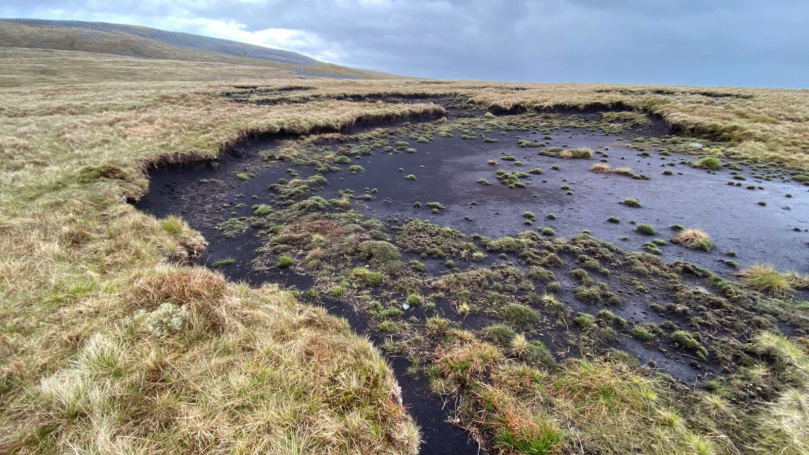 The Unsettling State of Preservation (image credits: wikimedia)