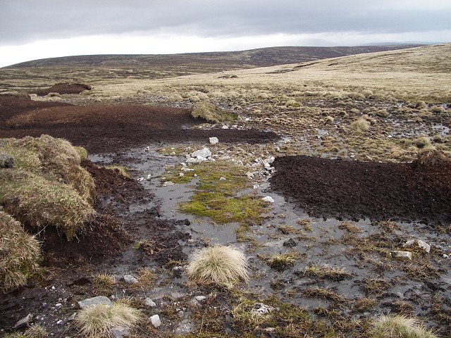 Peat Bogs as Time Capsules of Daily Life (image credits: wikimedia)
