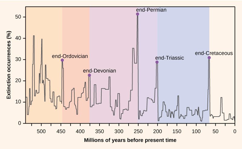 Defining Mass Extinction: What Does It Really Mean? (image credits: wikimedia)