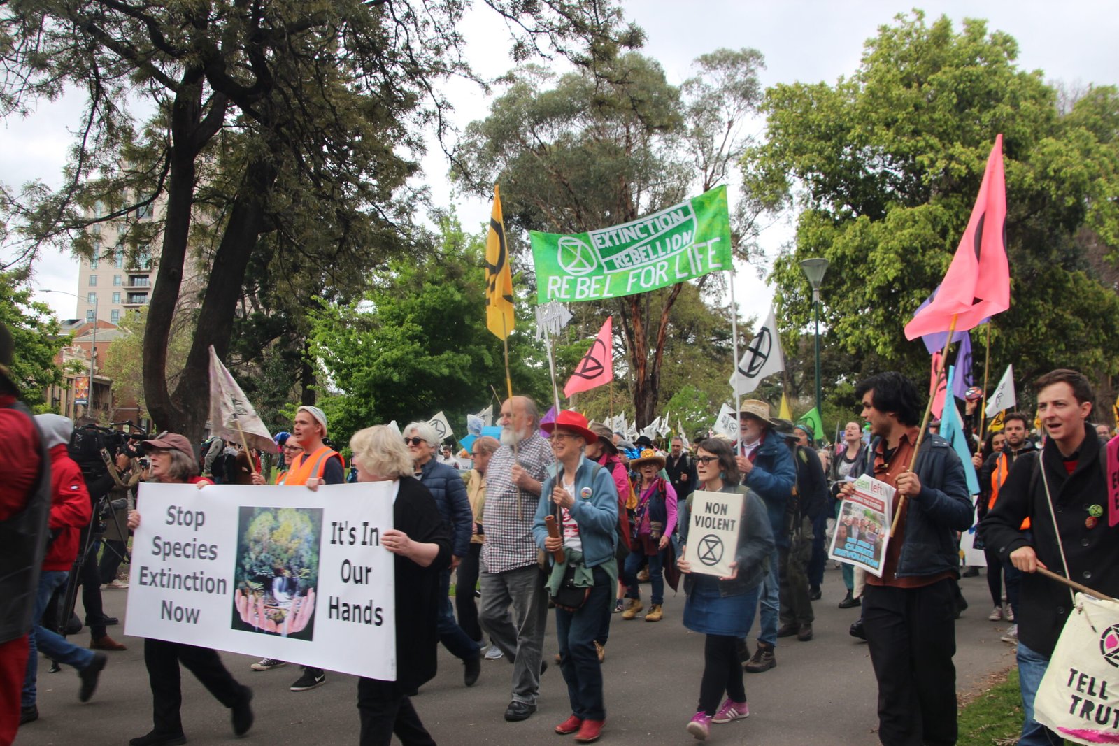 Lessons from the Past: Are We Facing a Sixth Mass Extinction? (image credits: wikimedia)