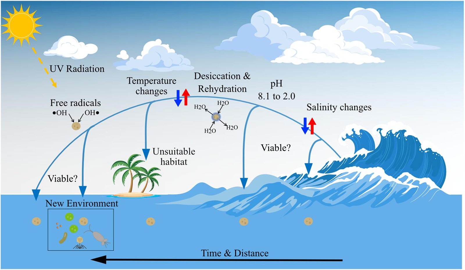 Driving the Ocean’s Nutrient Cycles (image credits: wikimedia)