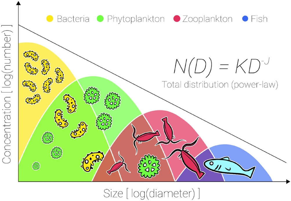 Viruses That Infect Giants (image credits: wikimedia)