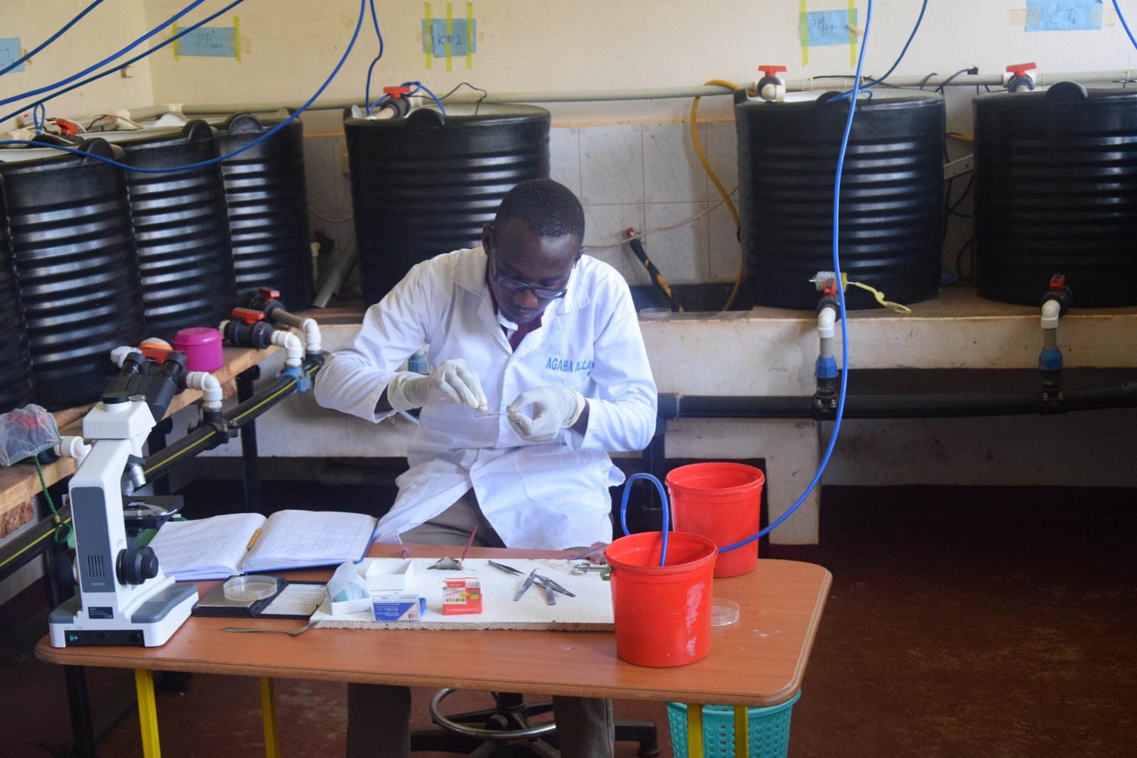 The Birth of the Frozen Zoo (image credits: wikimedia)