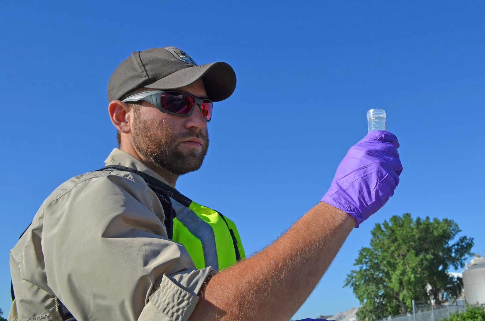 Looking Ahead: The Promise and Peril of Genetic Rescue (image credits: wikimedia)