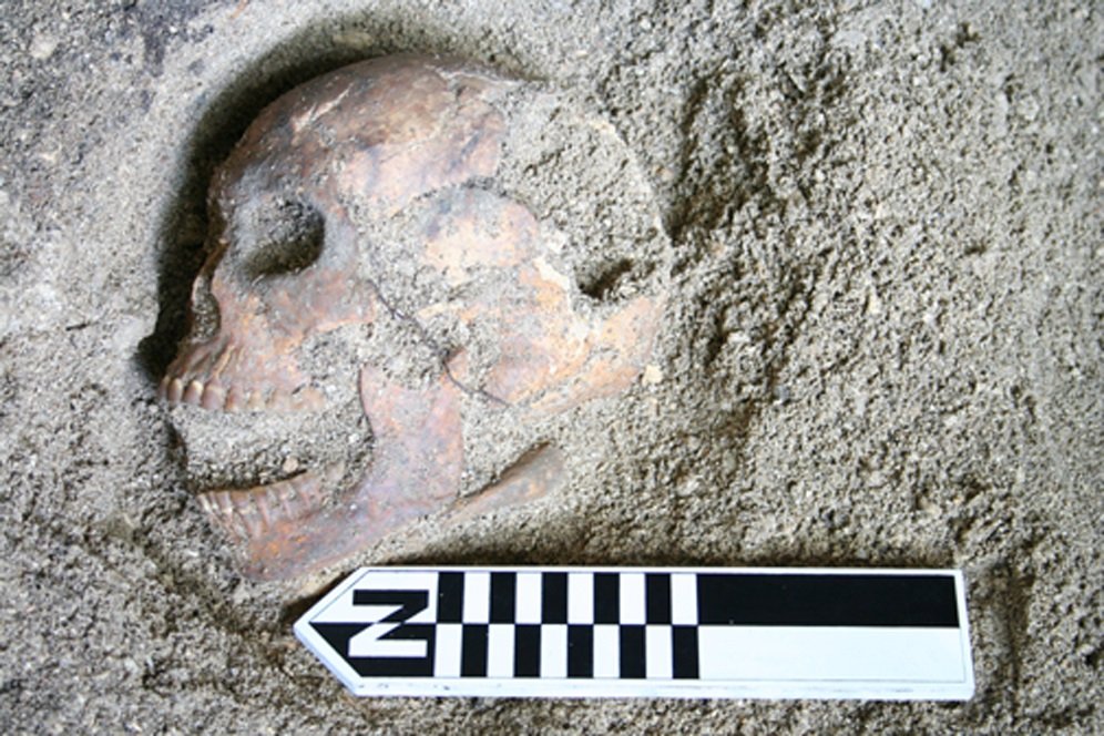 Ethical Reflections on Our Cannibal Ancestors (image credits: wikimedia)