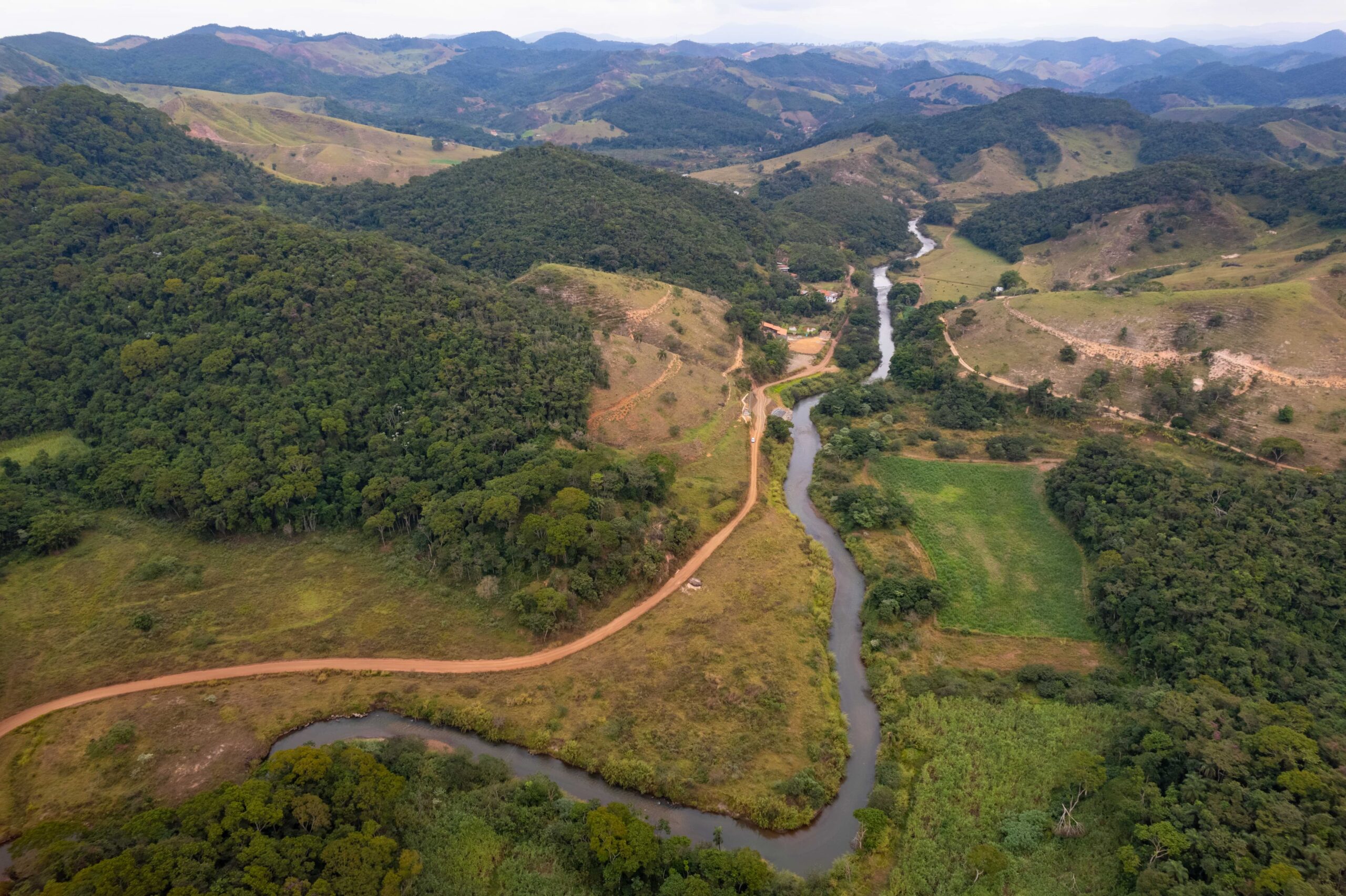 When Ecosystems Collapse: The Tipping Point You Can’t See Coming