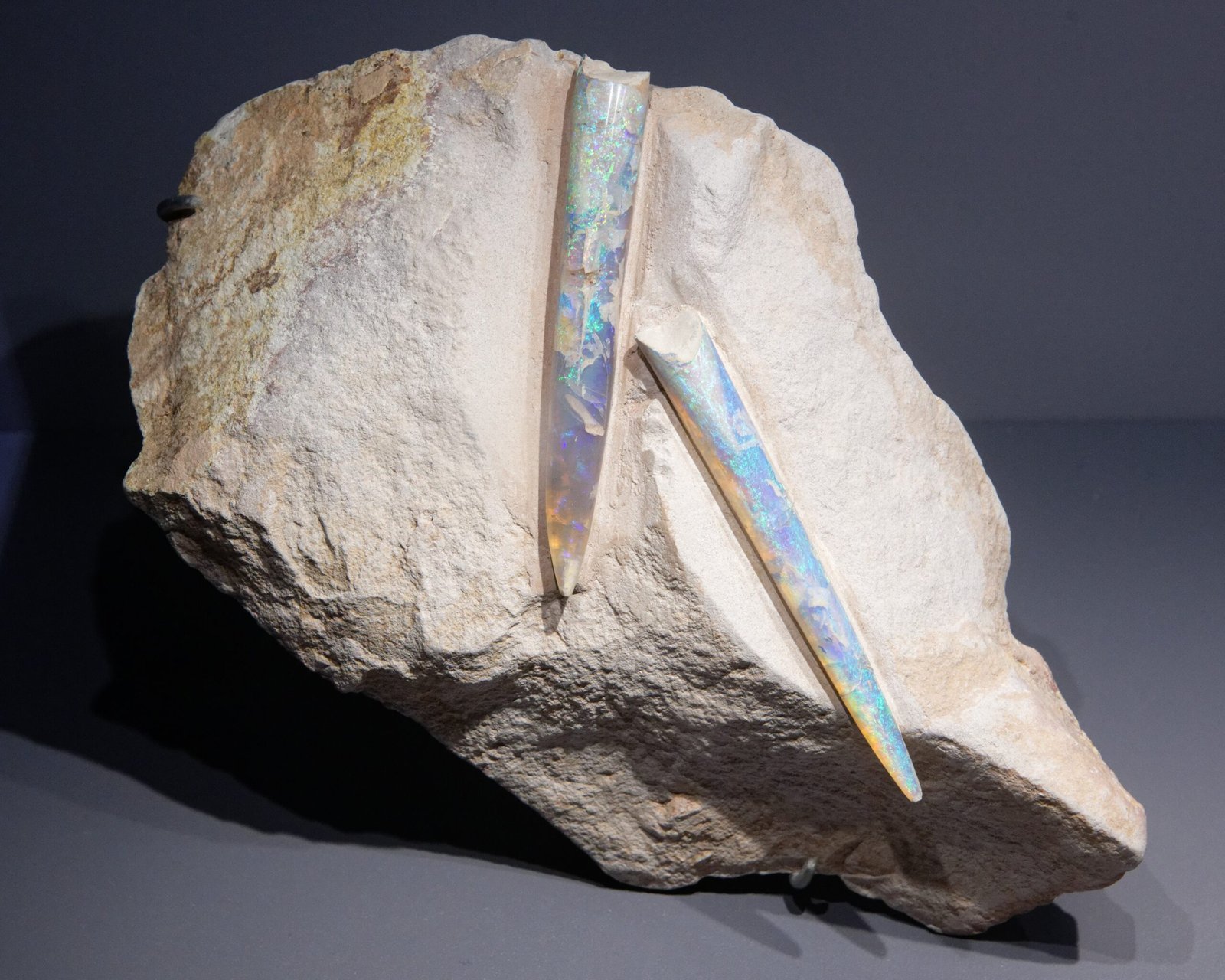 Lightning Ridge: Home of the Opal Dinosaurs (image credits: wikimedia)