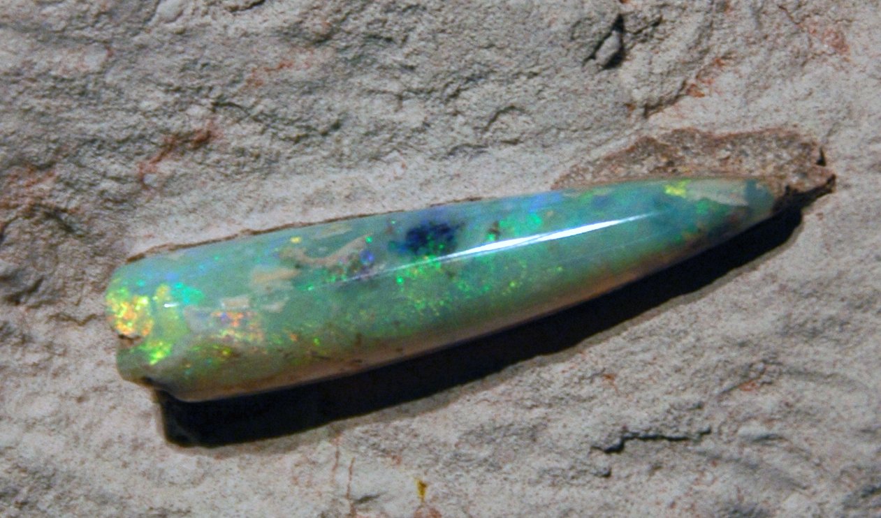 Prehistoric Creatures Turned to Gemstones (image credits: wikimedia)