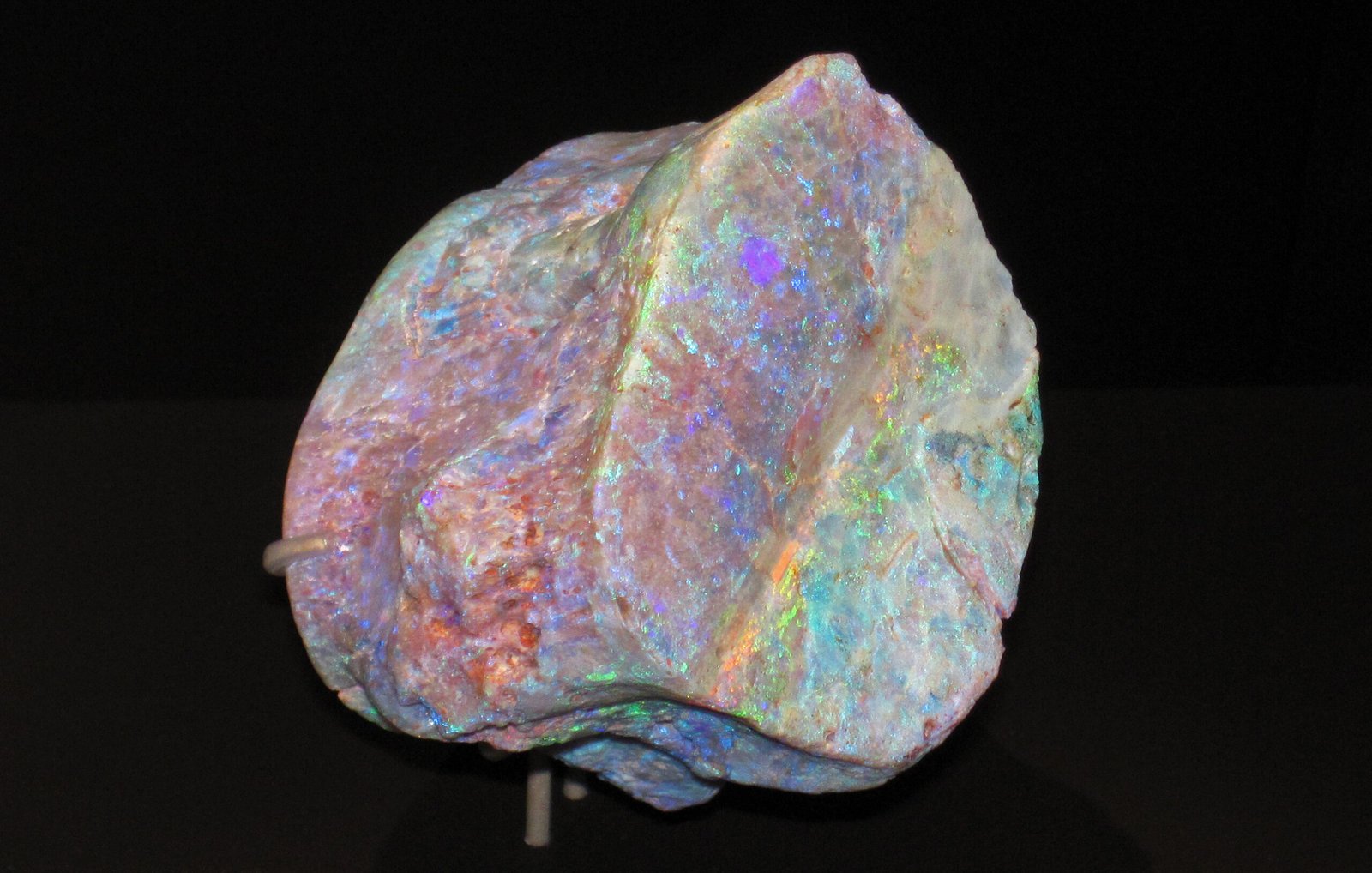 What Lies Beneath: The Ongoing Hunt for Prehistoric Bling (image credits: wikimedia)