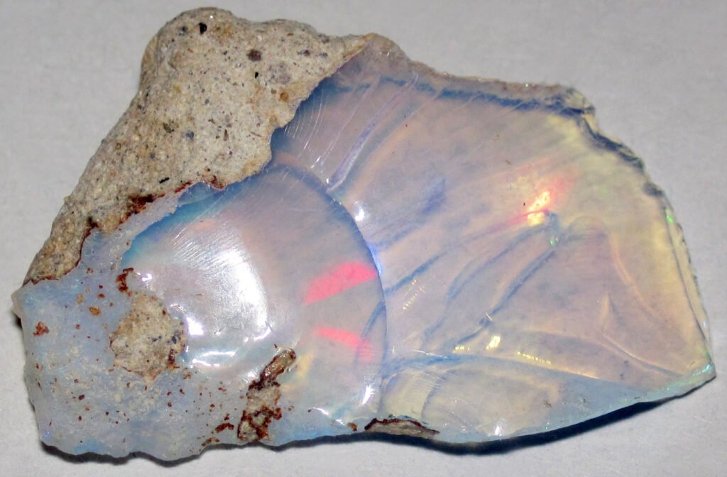 Why Australia’s Fossils Are Found in Opals — Prehistoric Bling, Basically