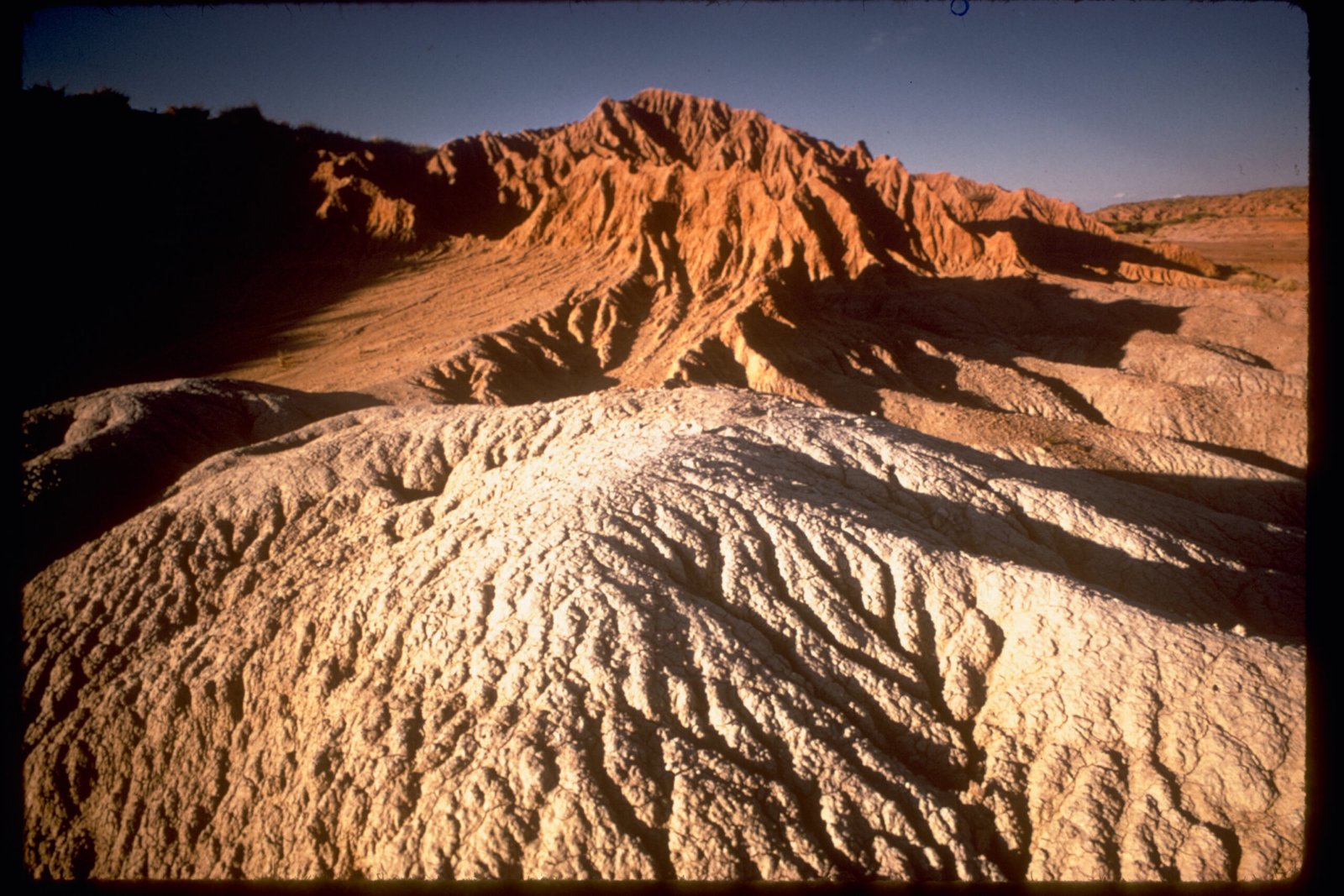A Wonderland Born from Catastrophe (image credits: wikimedia)