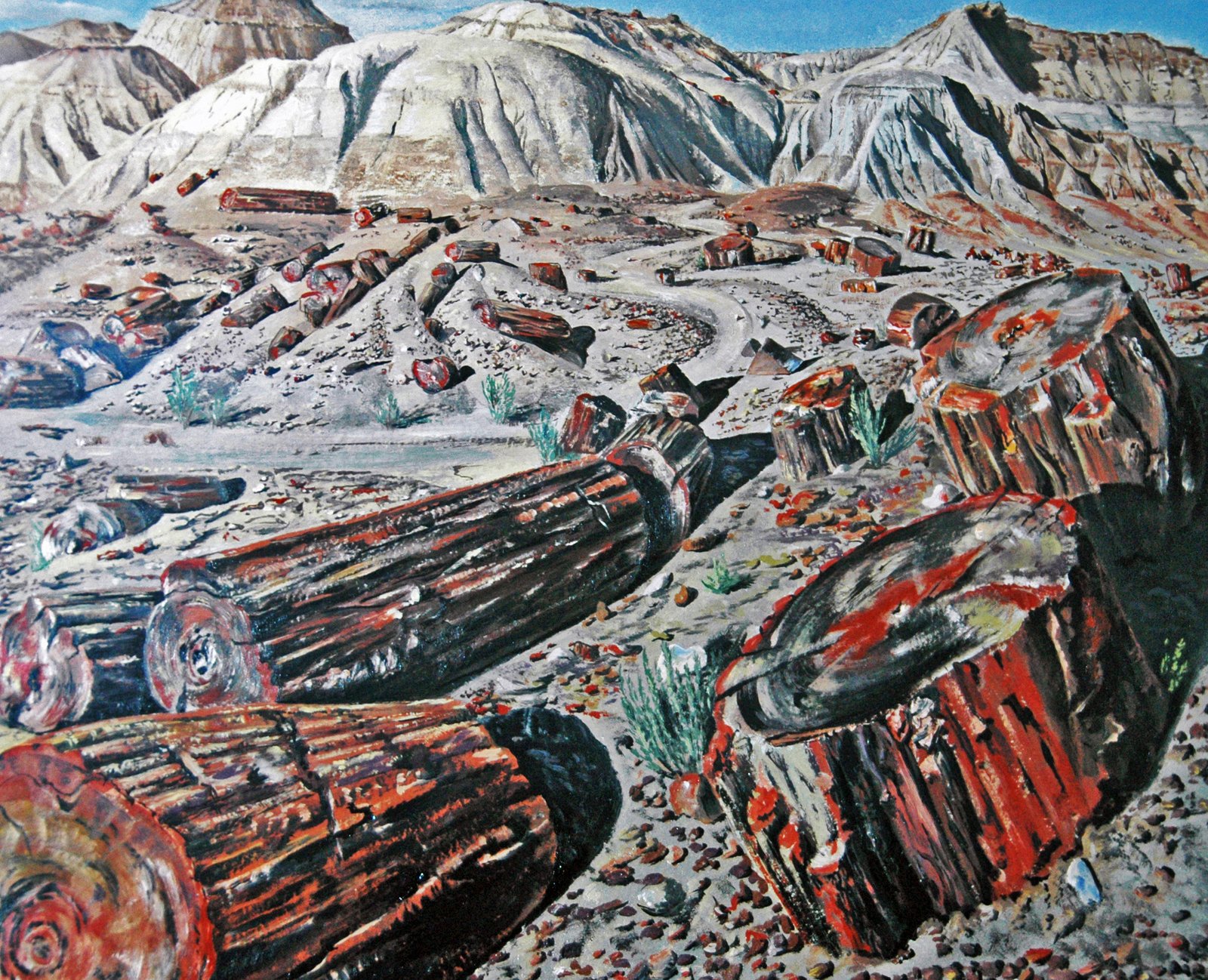 Nature’s Rainbow: The Colors of Petrified Wood (image credits: wikimedia)