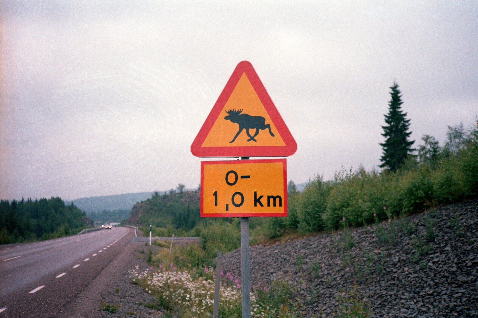 How Norwegians Are Responding (image credits: wikimedia)