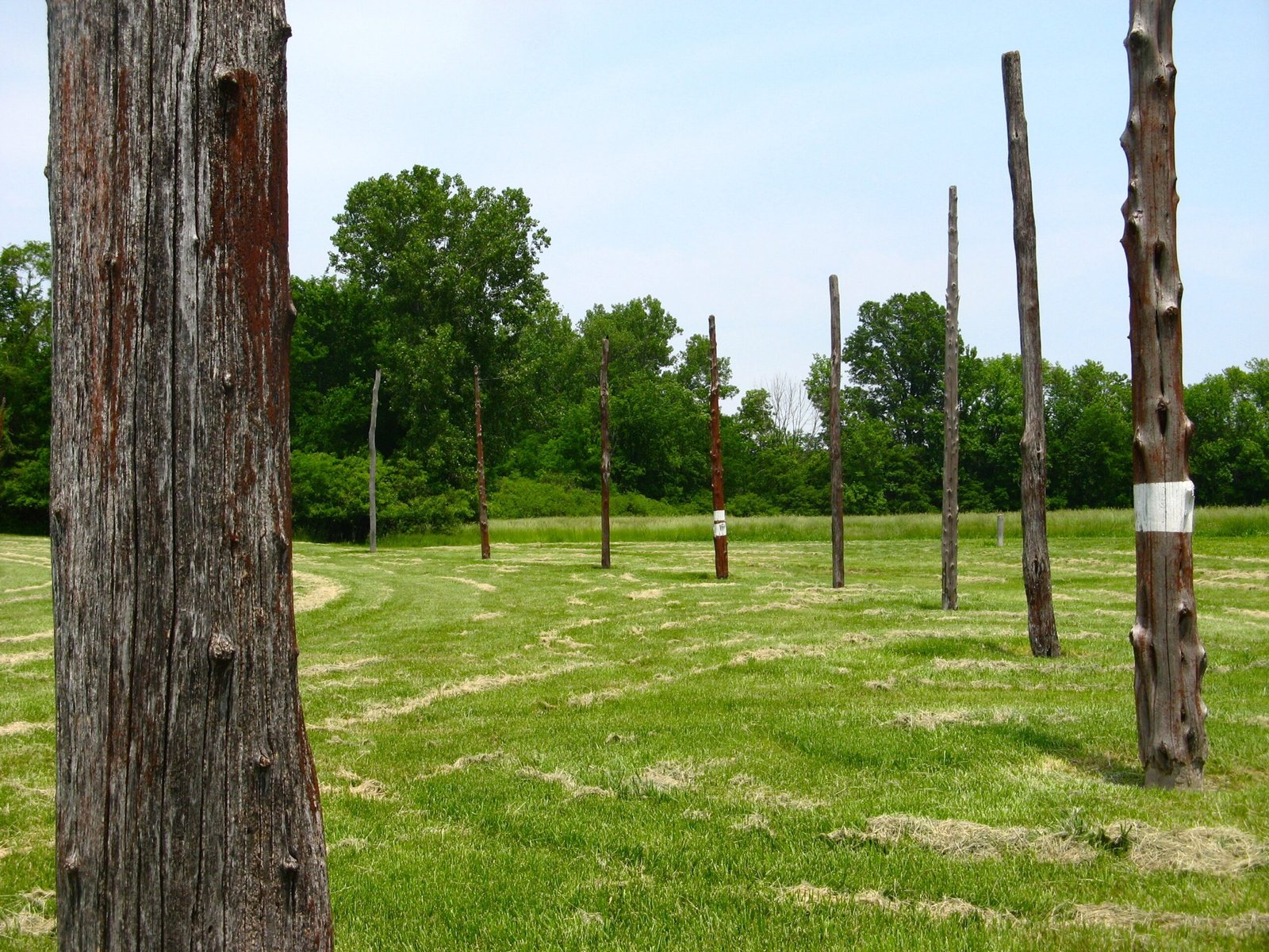 Woodhenge: Ancient Astronomy in Action (image credits: wikimedia)