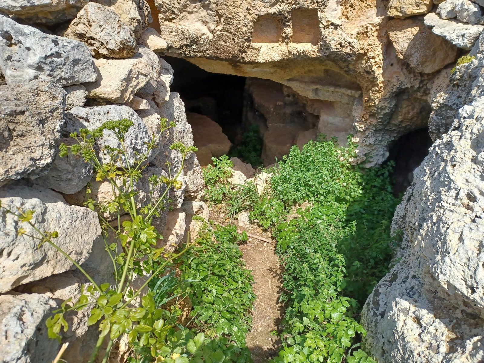 Theories, Wild and Rational (image credits: wikimedia)