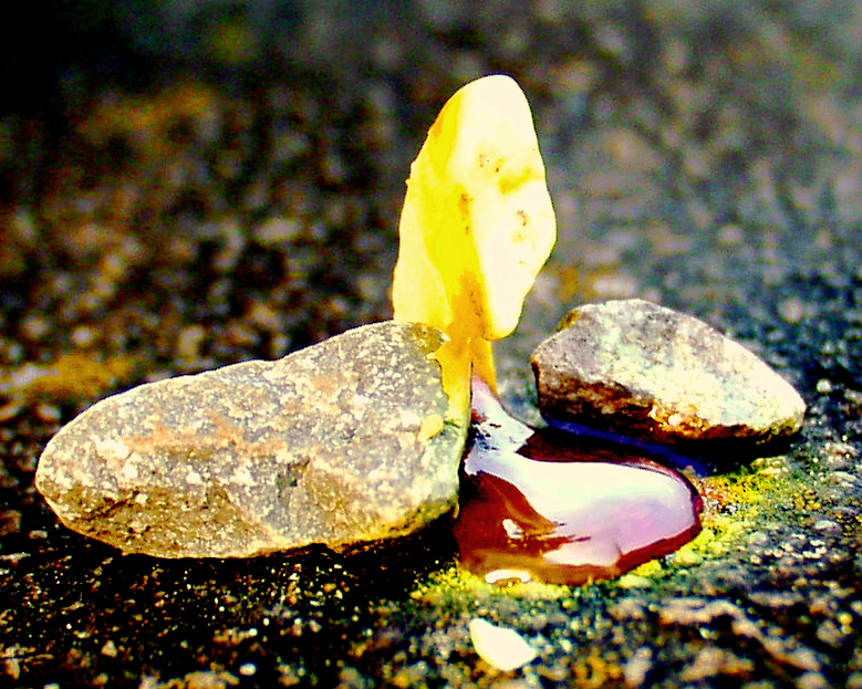 How the Blue Flames Are Formed (image credits: wikimedia)