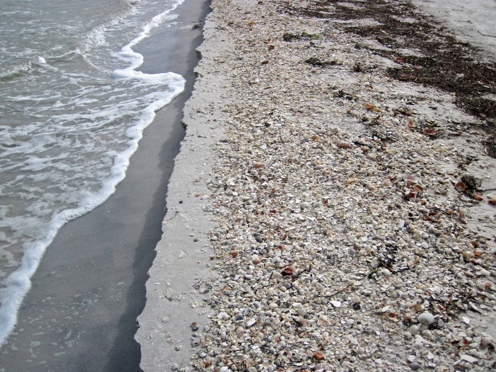 Nature’s Role in Erasing and Revealing (image credits: wikimedia)