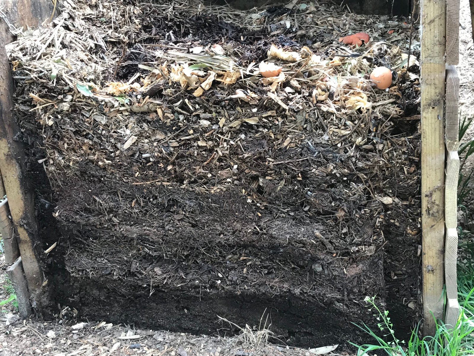 Composting: Nature’s Recycling System (image credits: wikimedia)