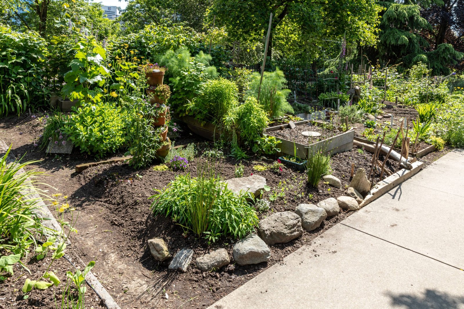 Microclimates: How Gardens Shape Weather (image credits: wikimedia)