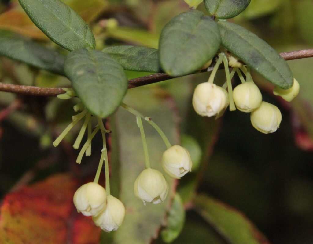 Scientific Mysteries: How Does It Work?