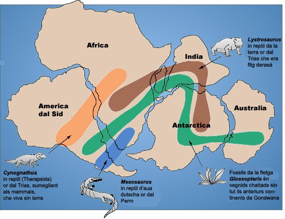 The Lost Supercontinent of Gondwana (image credits: wikimedia)
