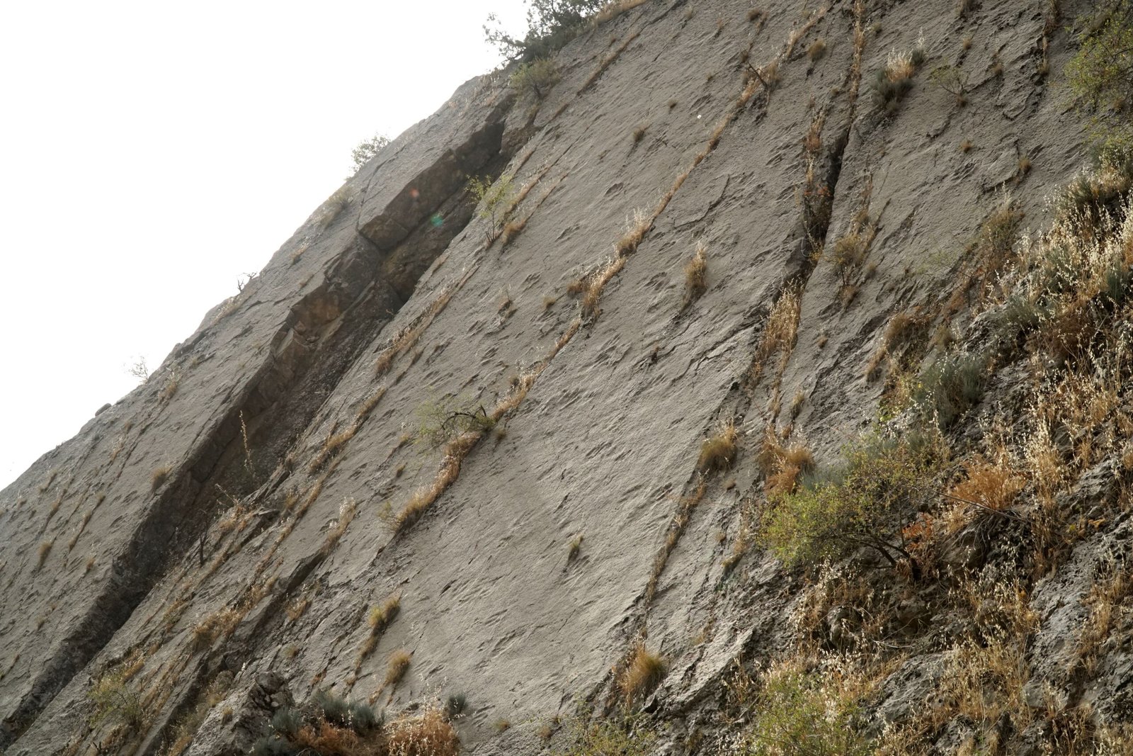 The Science of “Reading” Footprints (image credits: wikimedia)