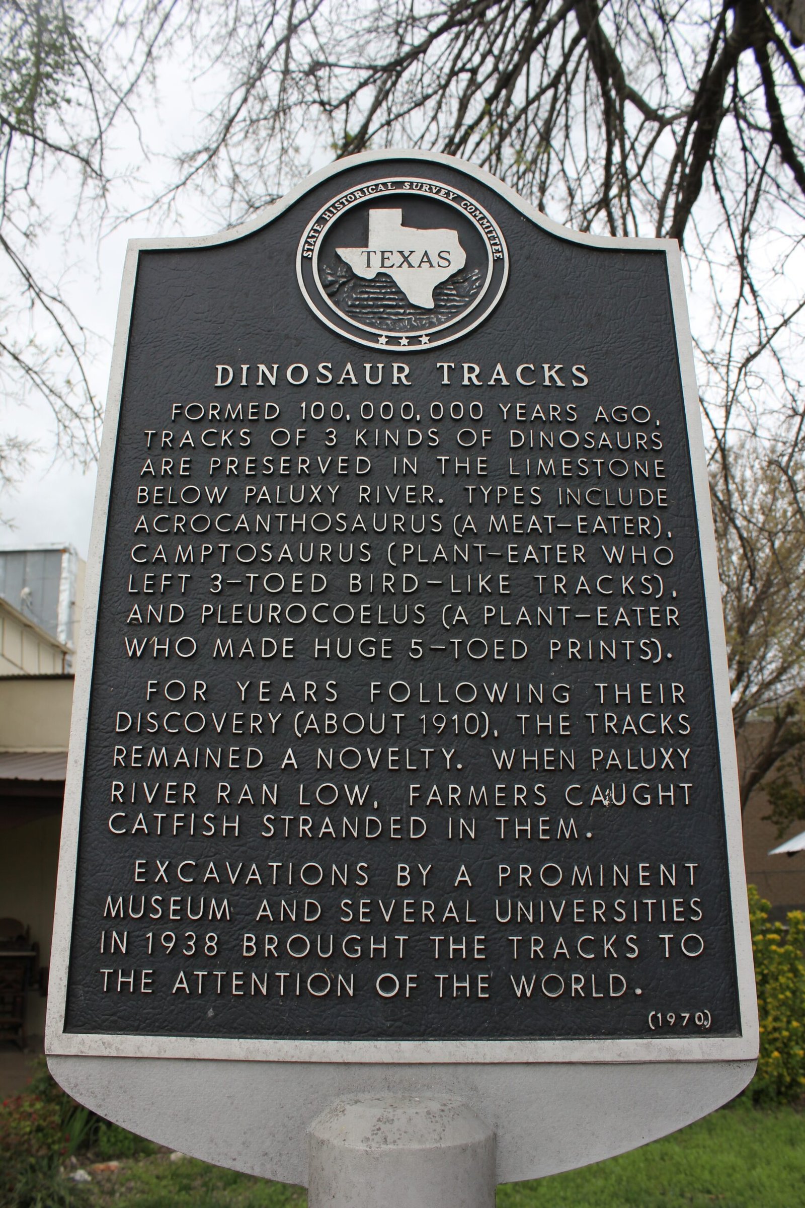 Italy’s Jurassic Legacy: A Living Connection (image credits: wikimedia)