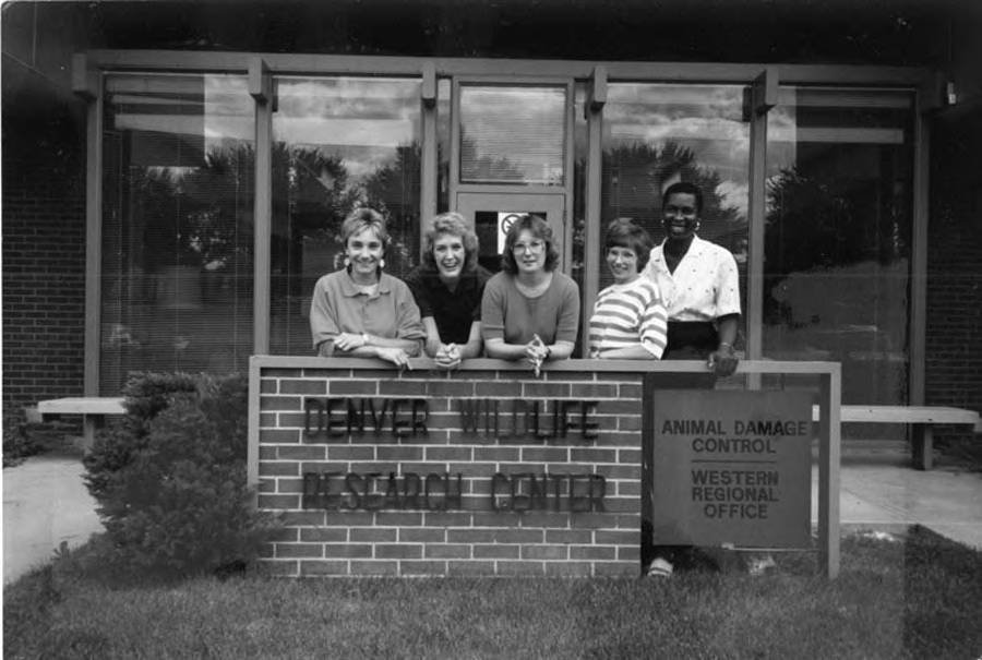 The Science Behind the Mystery (image credits: wikimedia)