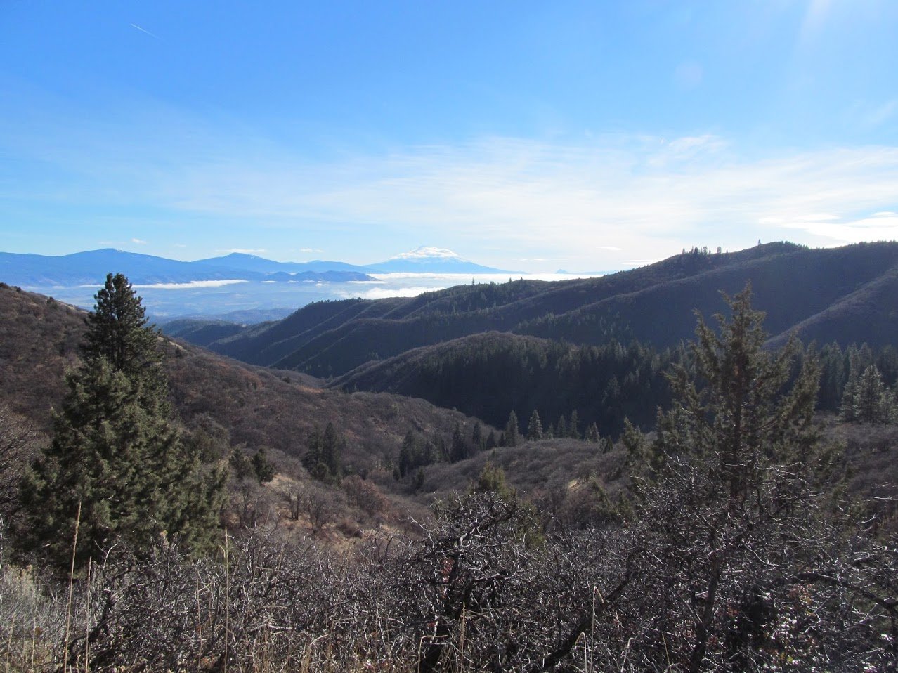 The Marvelous Setting: Where Forest Meets Stone (image credits: wikimedia)