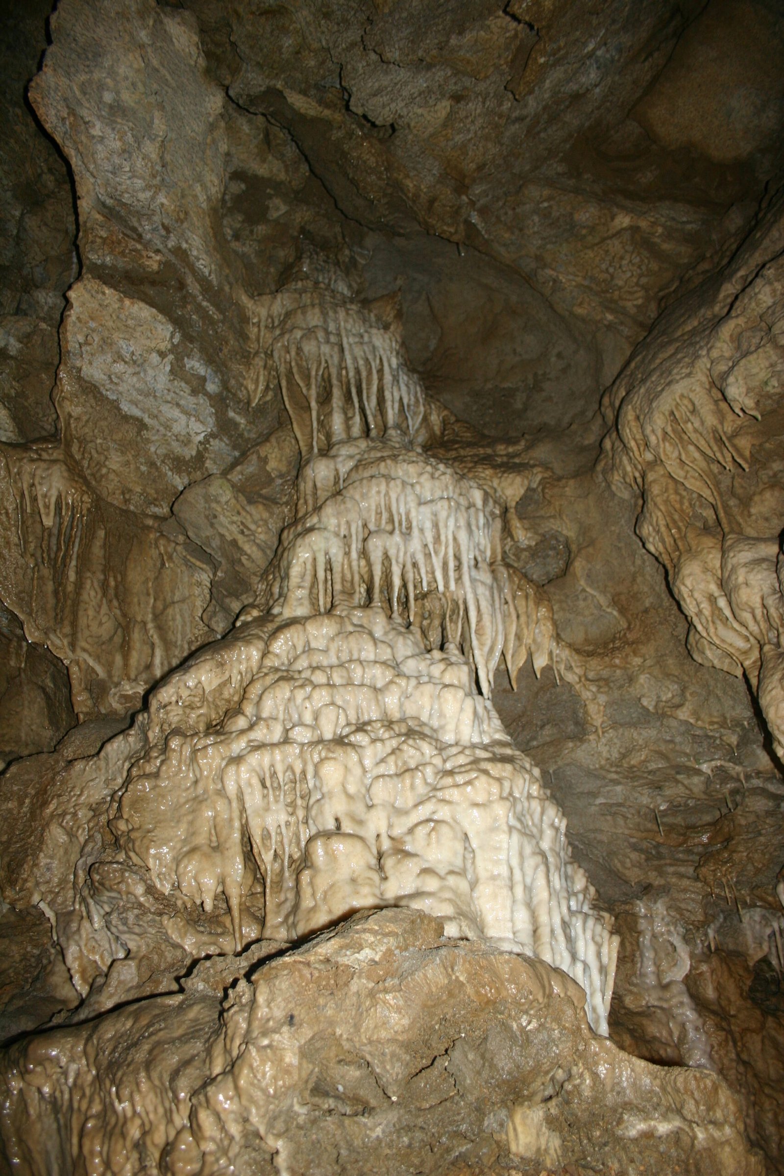 Limestone Labyrinths: The Making of a Living Cave (image credits: wikimedia)