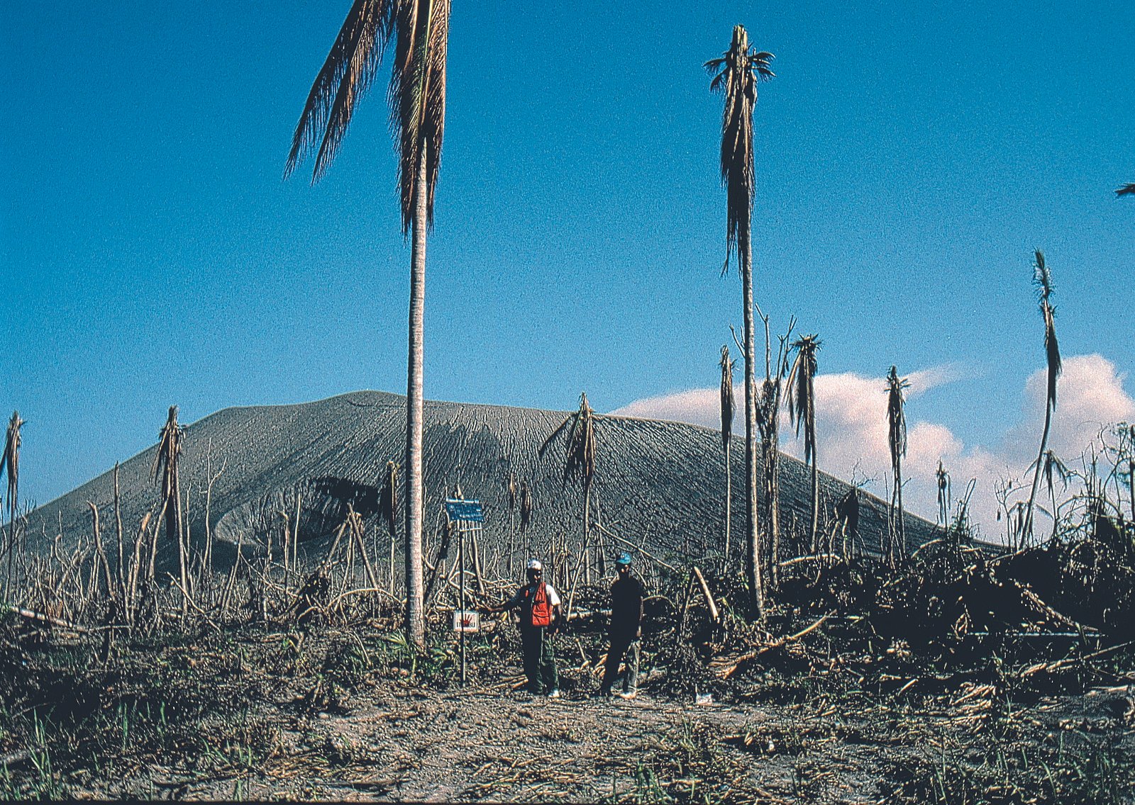 The Day the World Changed: The 1980 Eruption (image credits: wikimedia)