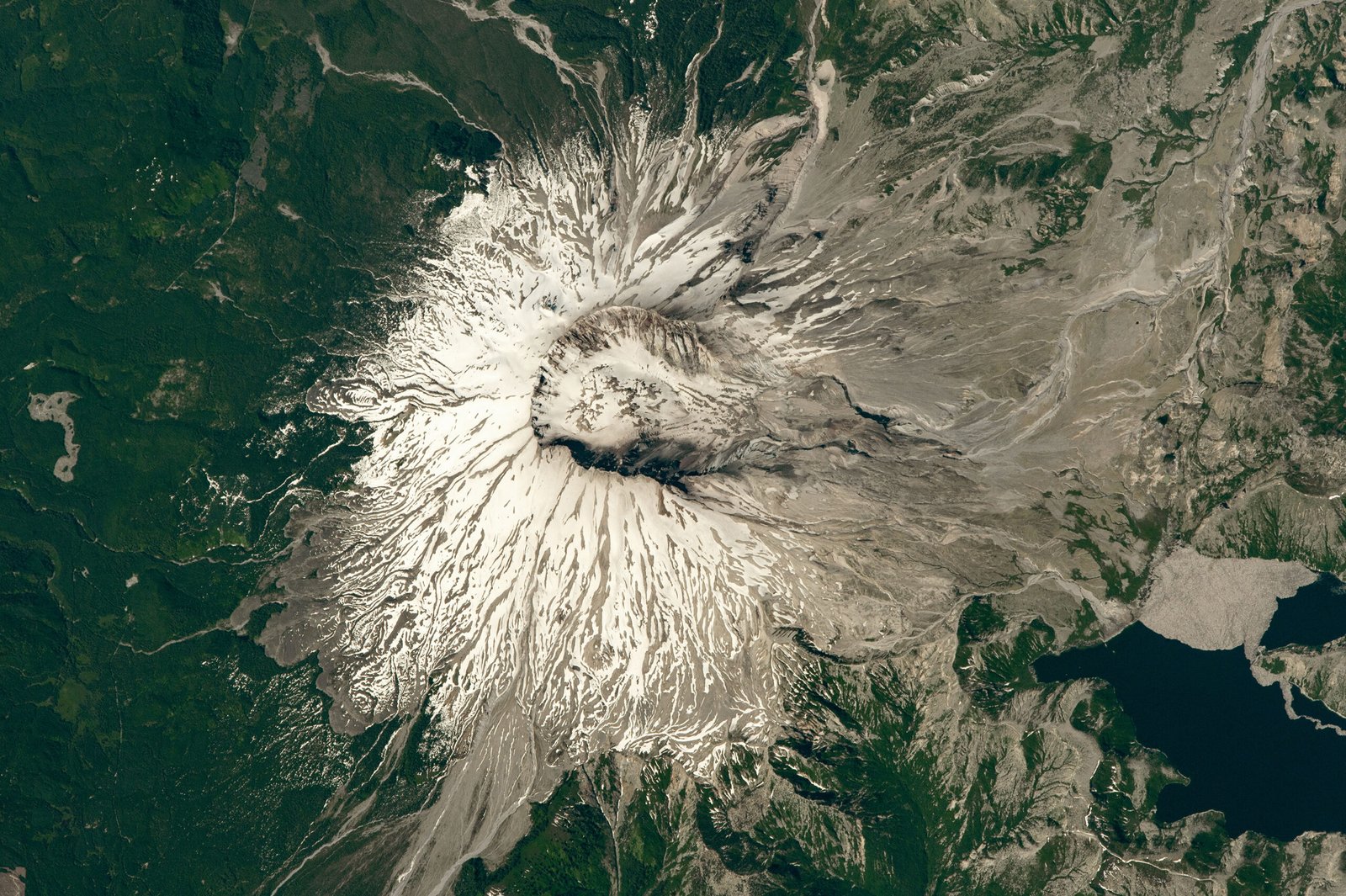 The Blank Canvas: A Landscape of Ash (image credits: wikimedia)