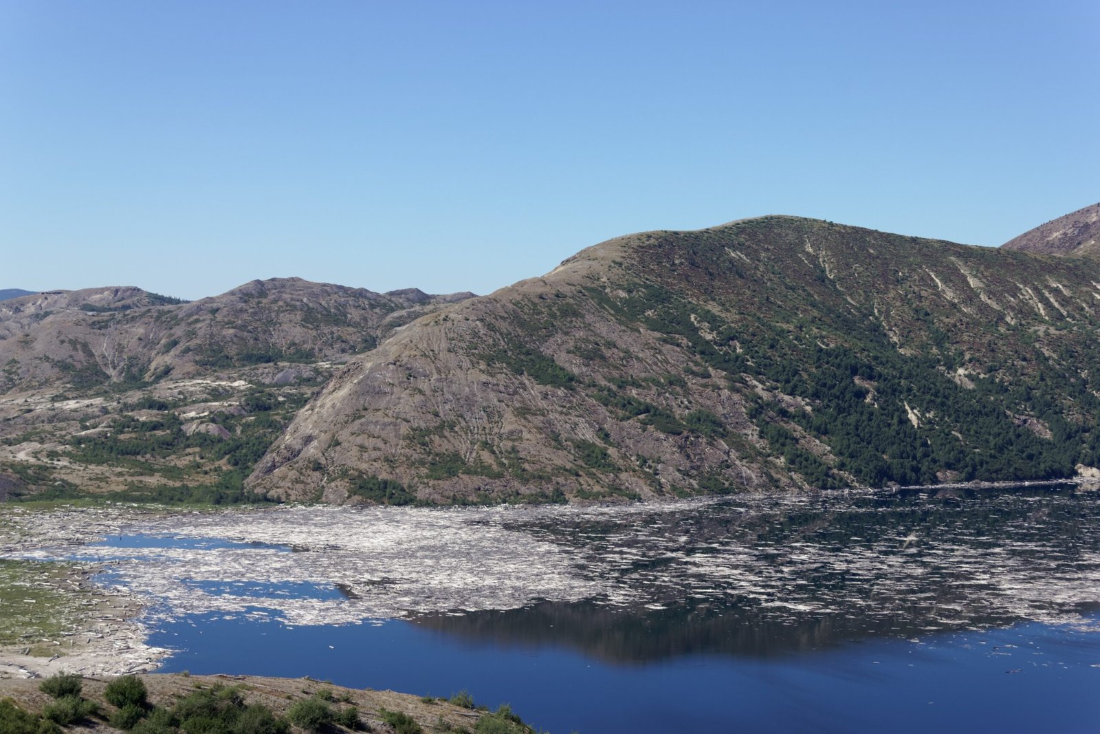 The Role of Water: Streams, Lakes, and Wetlands (image credits: wikimedia)