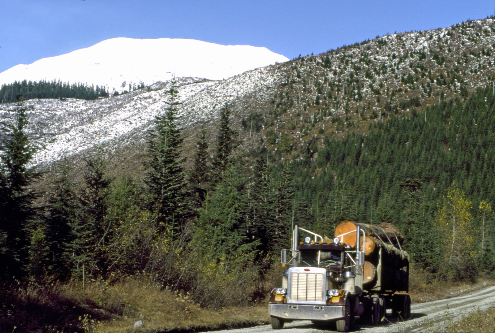 What Mount St. Helens Teaches Us About the Future (image credits: wikimedia)