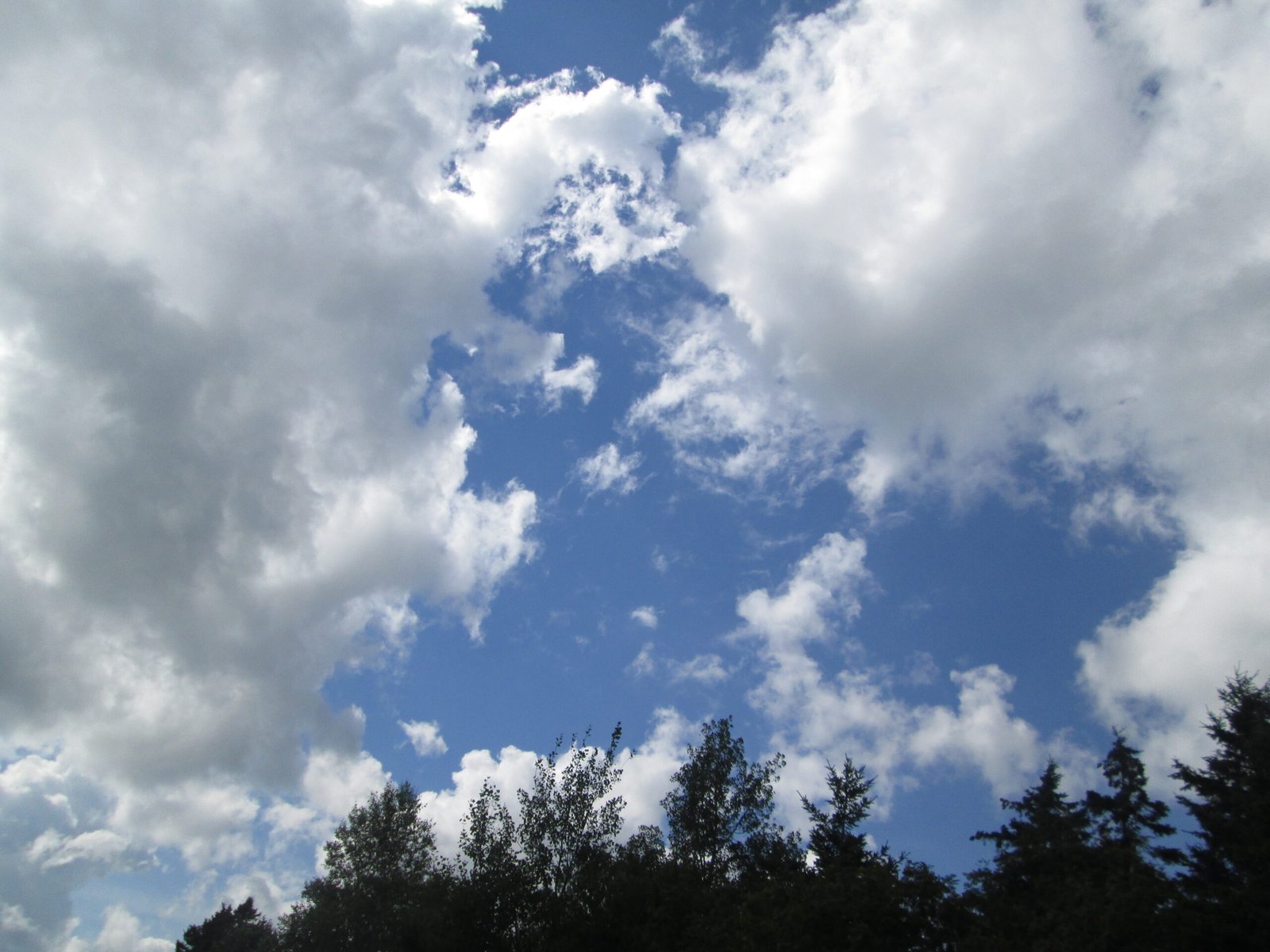 Who Lives Up There? The Cloud Microbial Community (image credits: wikimedia)