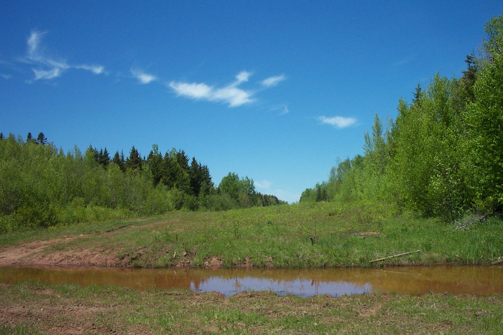 How Do Microbes Get Into the Sky? (image credits: wikimedia)
