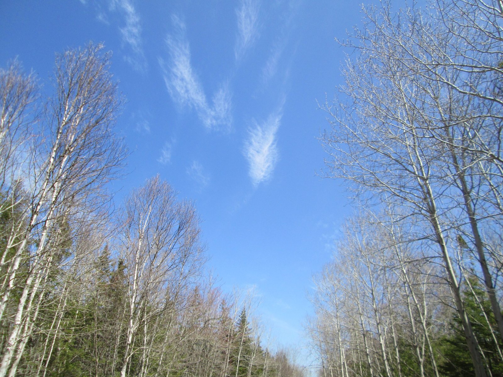 What the Sky Can Teach Us About Life (image credits: wikimedia)