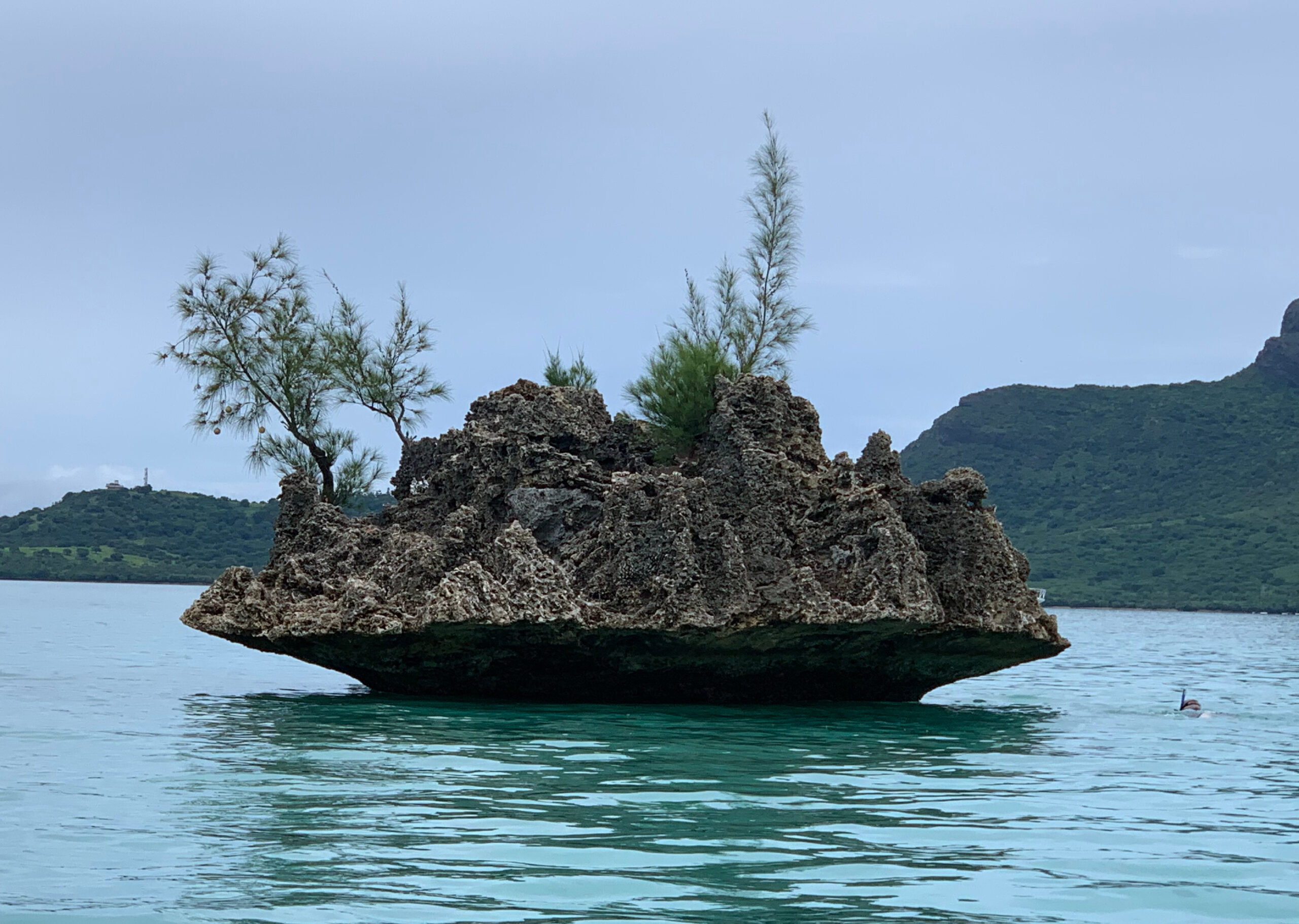 When Sea Monsters Swam Over What’s Now Kuala Lumpur