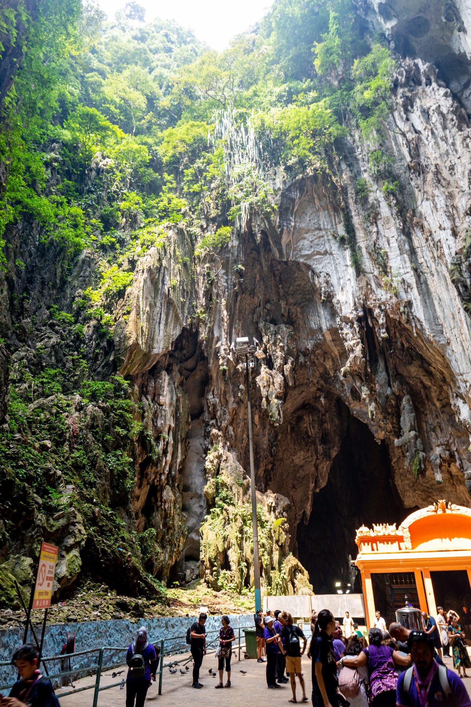 The Enigmatic Depths of Slovenia’s Karst Caves (image credits: wikimedia)