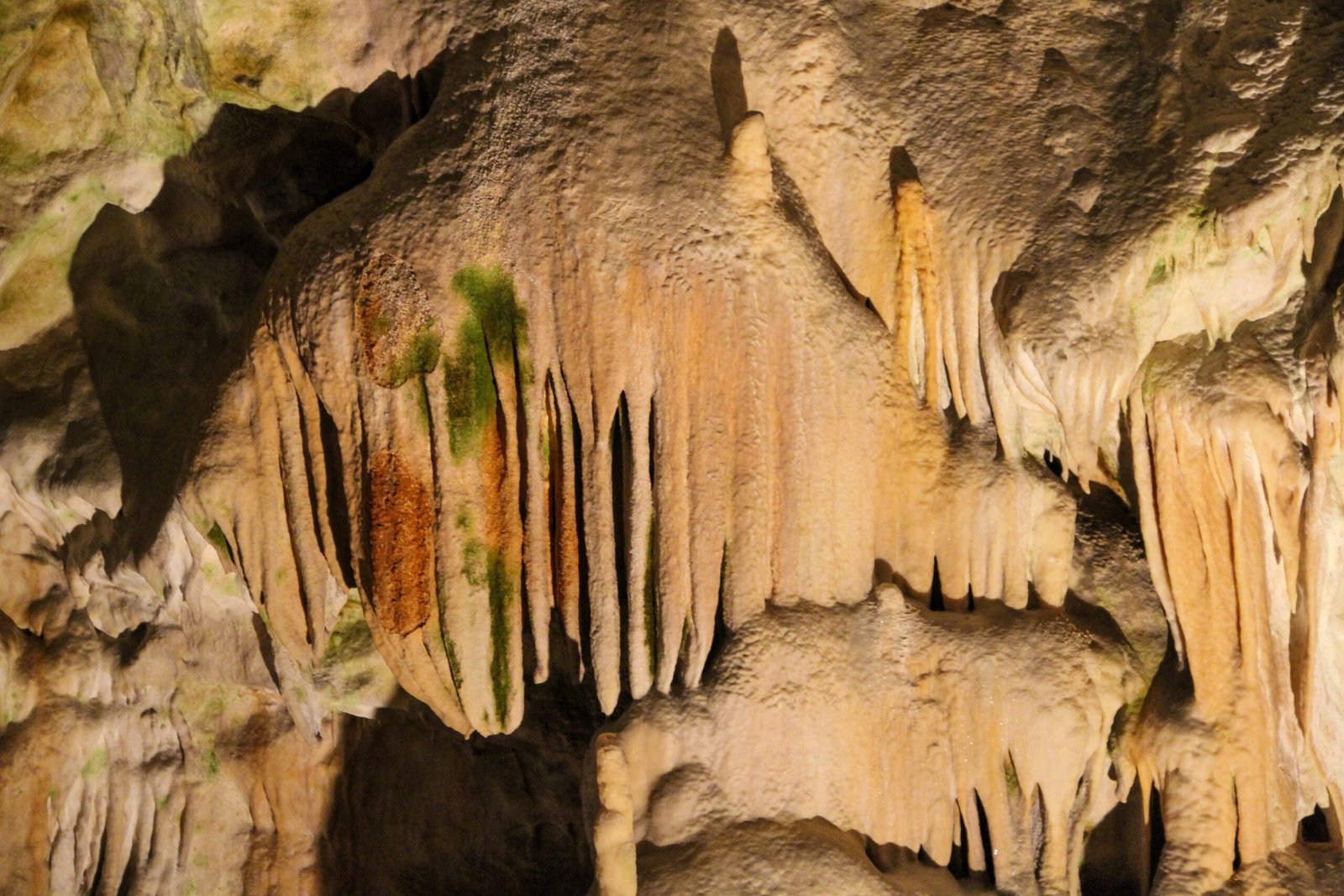 Scientific Surprises: Discoveries Still to Be Made (image credits: wikimedia)