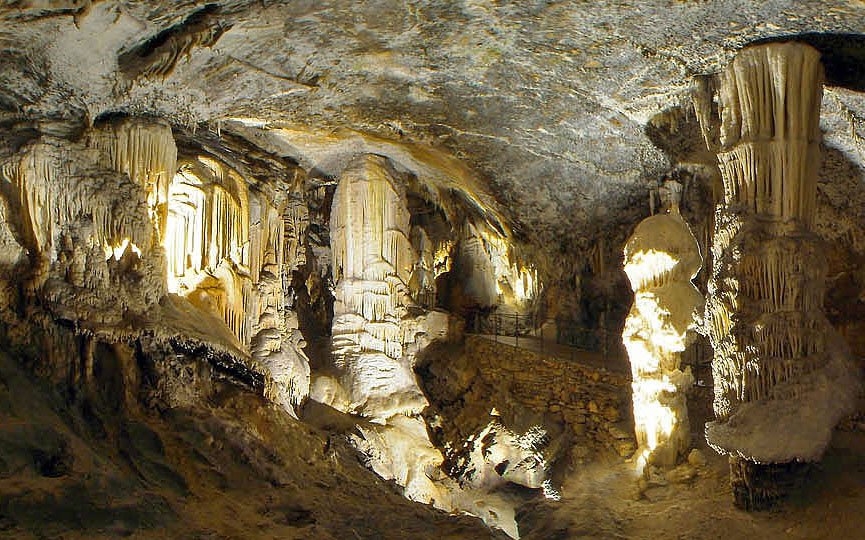 In Slovenia, Cave Beetles and Blind Salamanders Share a Nightclub-Like Ecosystem