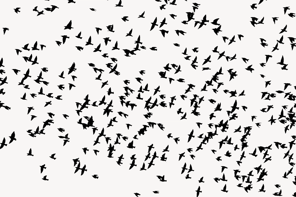 The Marvel of Migration: Nature’s Greatest Journey (image credits: rawpixel)