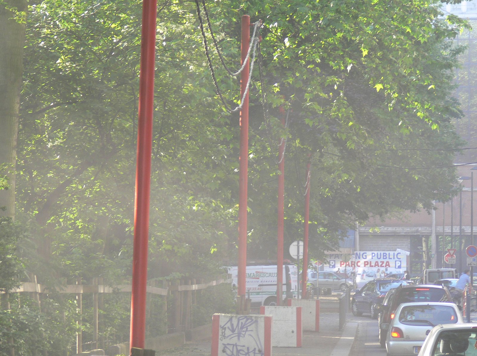 The Human Footprint: How Our Actions Ripple Across Flyways (image credits: wikimedia)